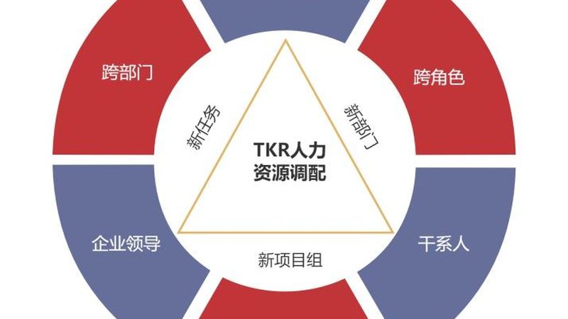 揭秘北京背调公司：靠谱推荐的关键要素